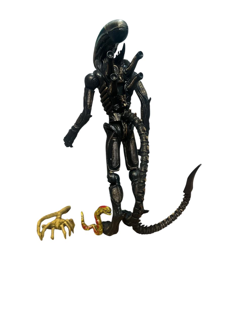 Alien de accesorios fino/ Alien vs Depredador