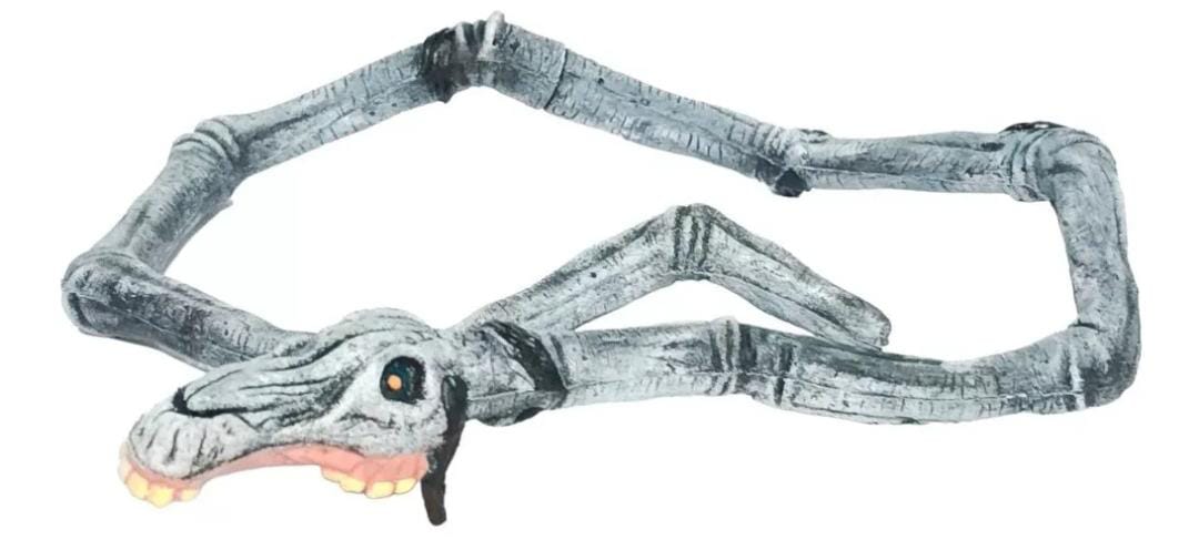 Serpiente/ Cartoon Cat