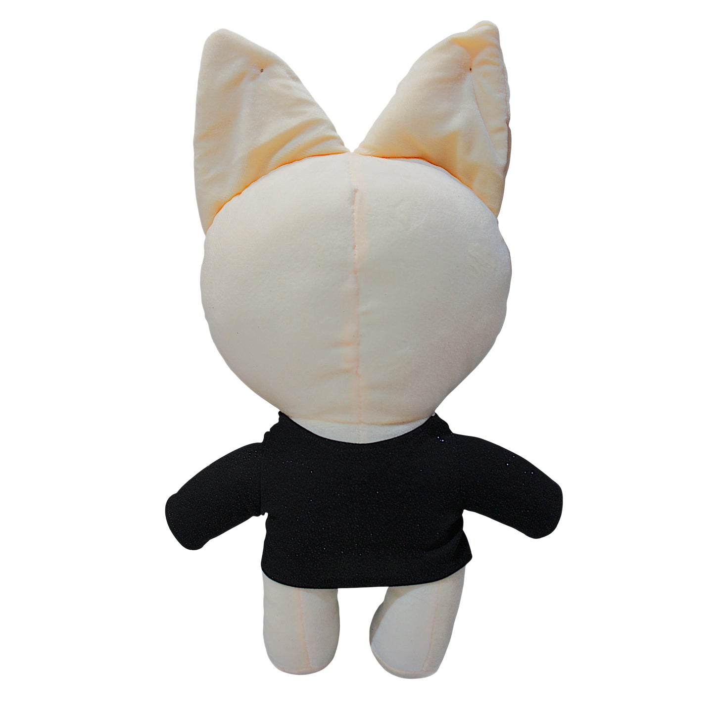 PCH Foxy/ Stray Kids #3