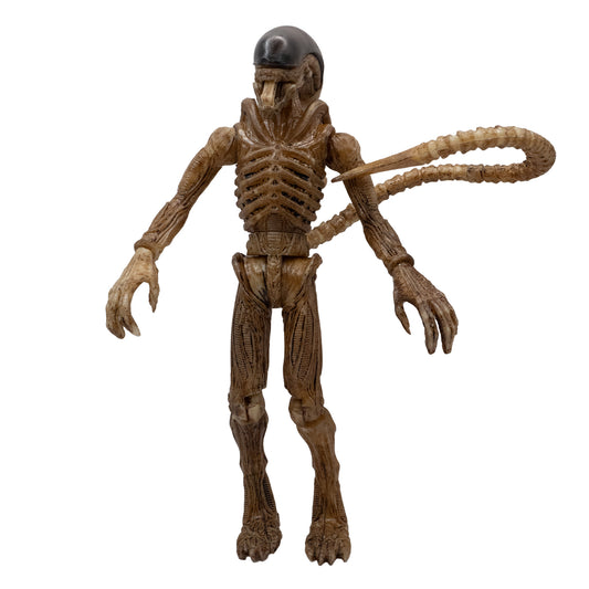 Alien de accesorios fino/ Alien vs Depredador