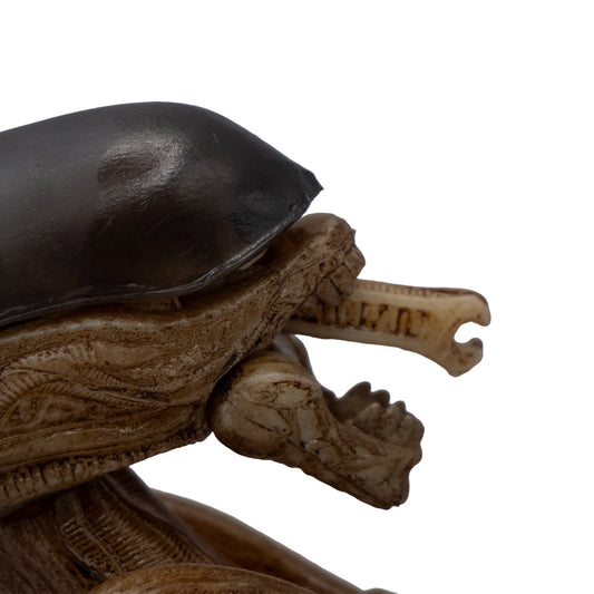 Alien de accesorios fino/ Alien vs Depredador