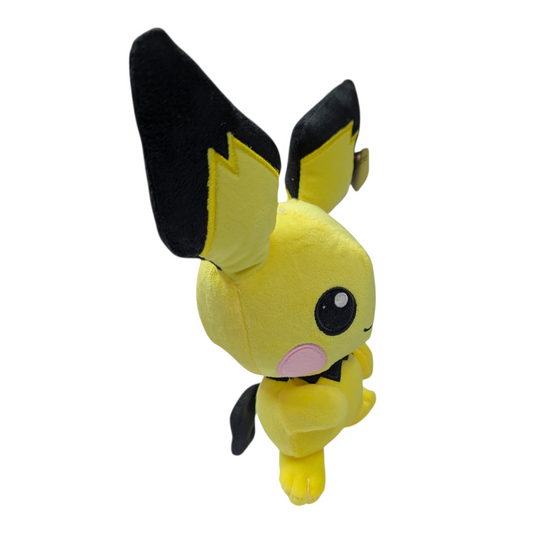 PCH Pichu/ Pokémon #2