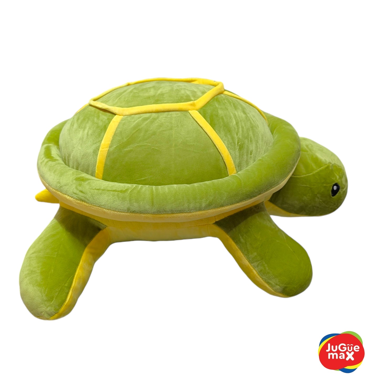 PCH Tortuga #3