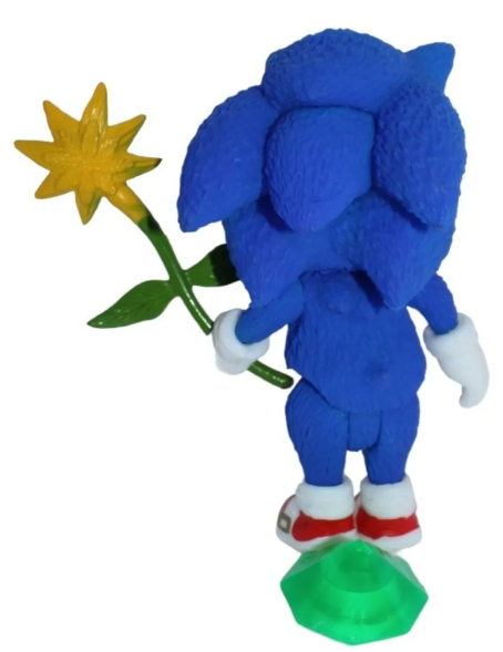 Sonic niño con girasol fino/ Sonic