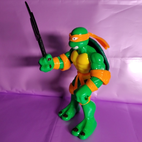 Tortuga patona naranja