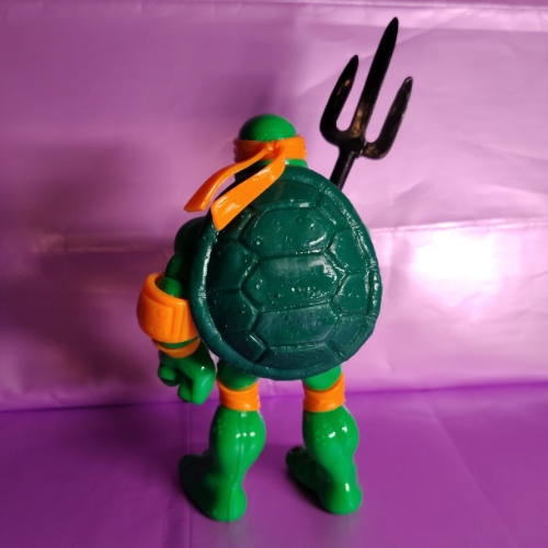 Tortuga patona naranja
