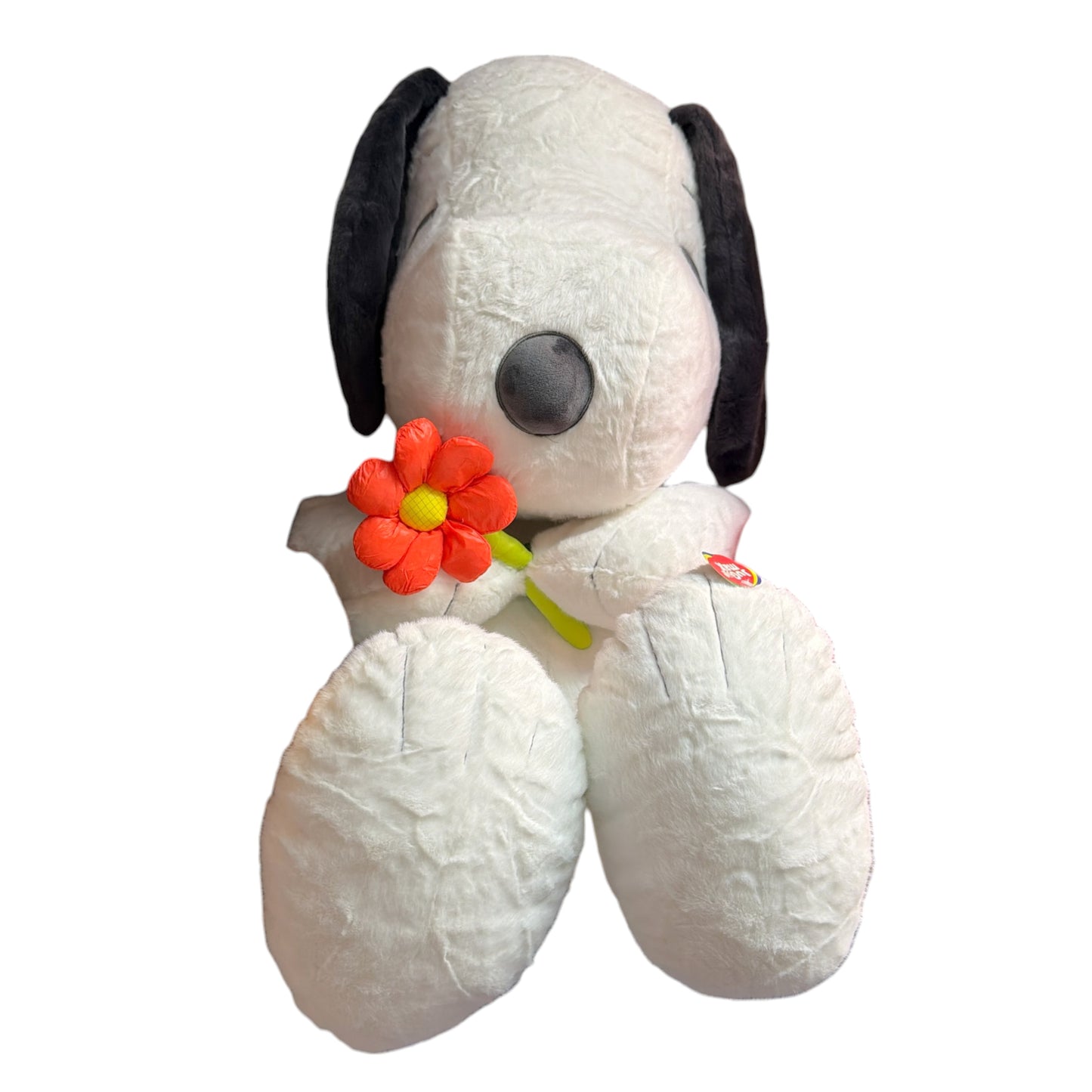 PCH Beagle Jumbo Flor/ Snoopy #8