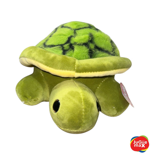 PCH Tortuga #2
