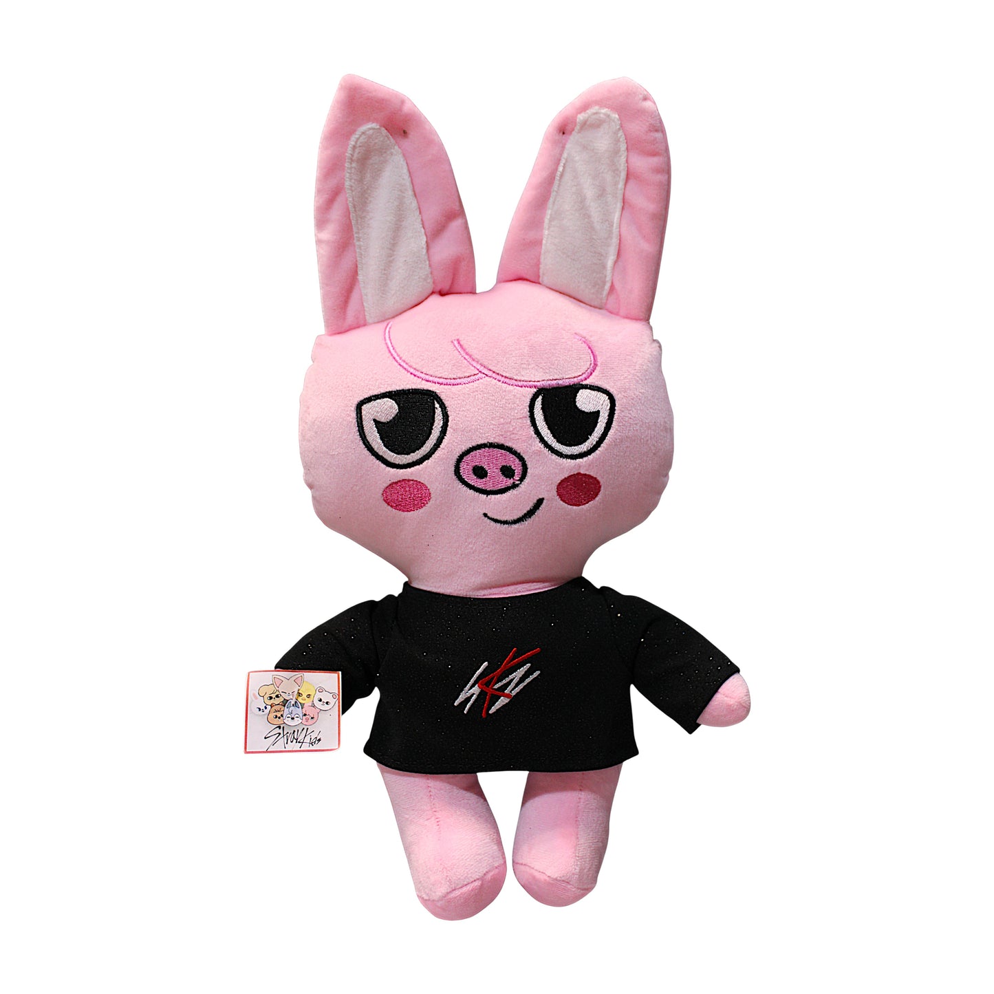 PCH Daewekki/ Stray Kids #3