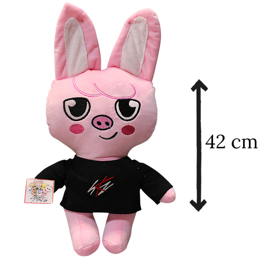 PCH Daewekki premium/ Stray Kids #4