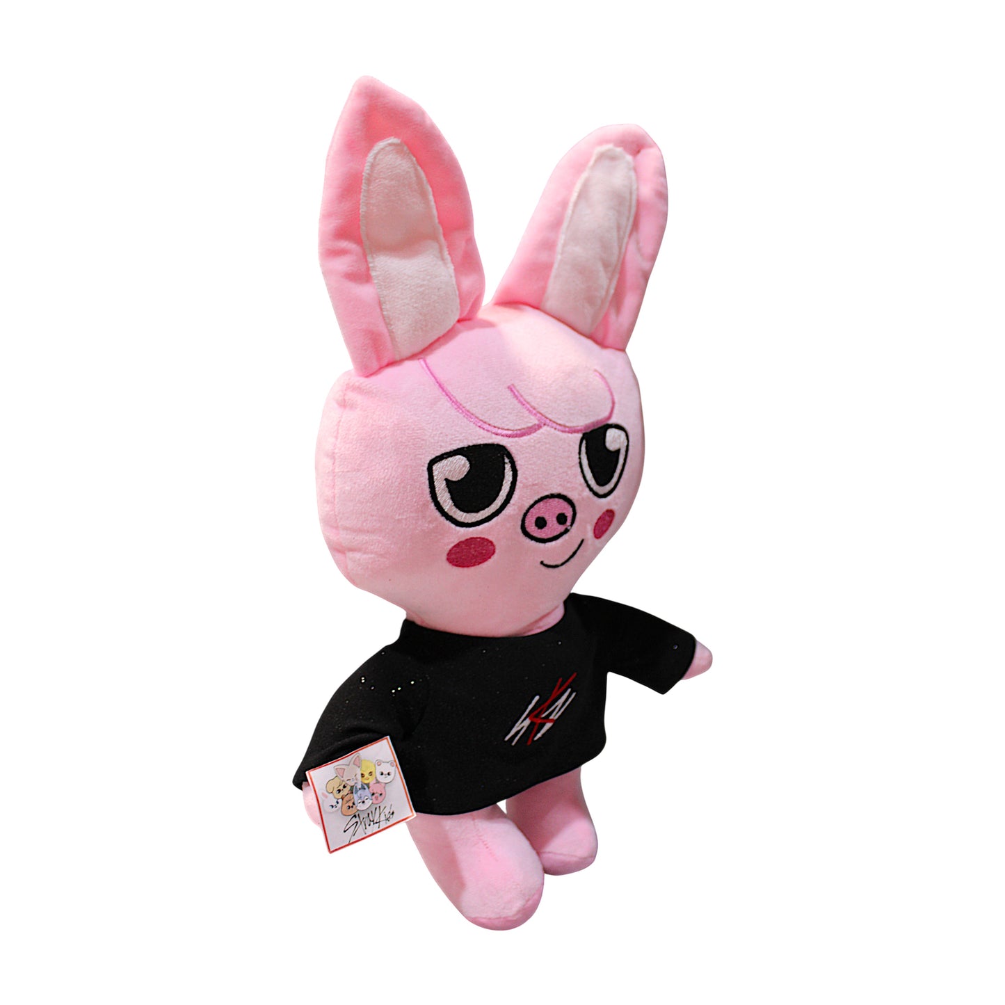 PCH Daewekki/ Stray Kids #3
