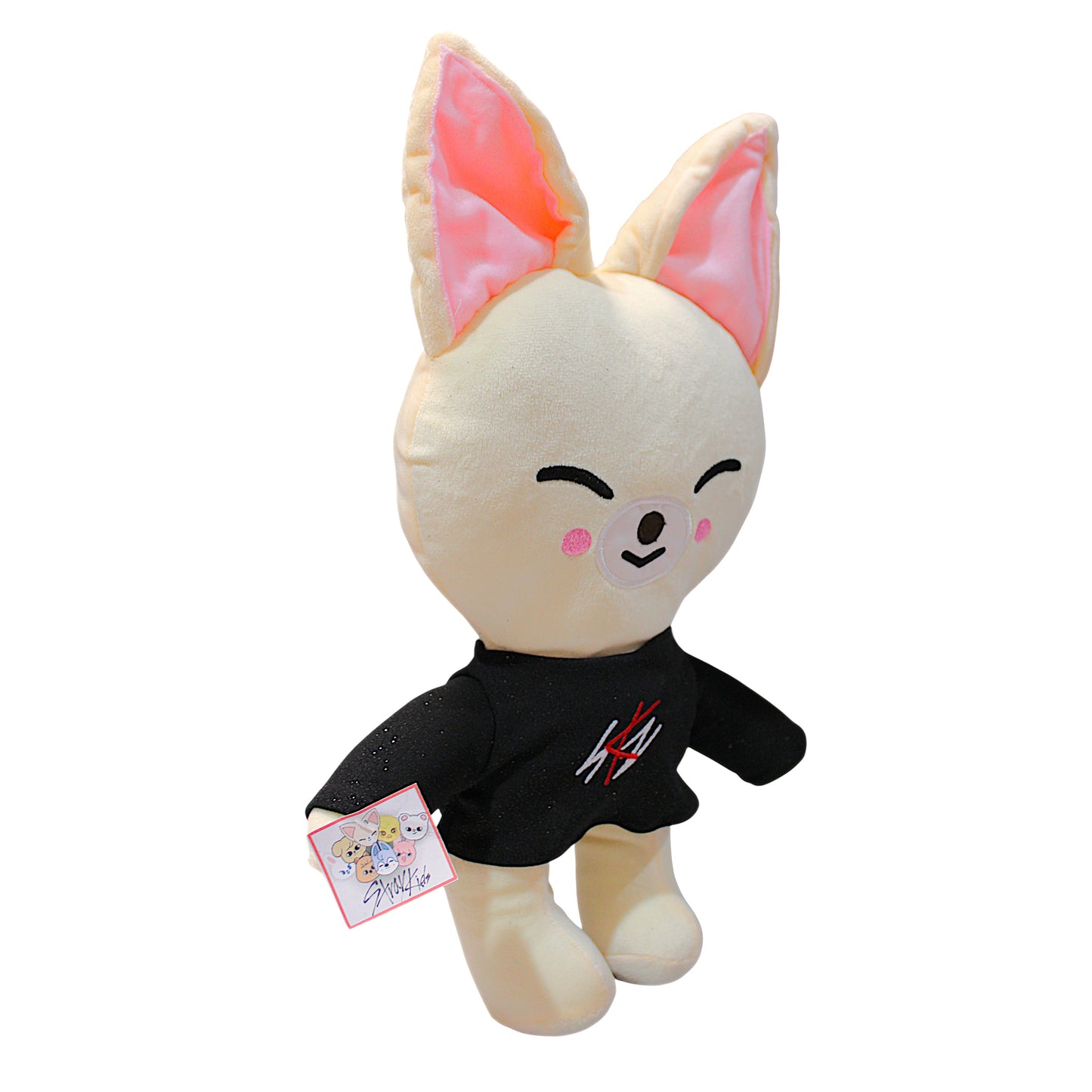 PCH Foxy/ Stray Kids #3