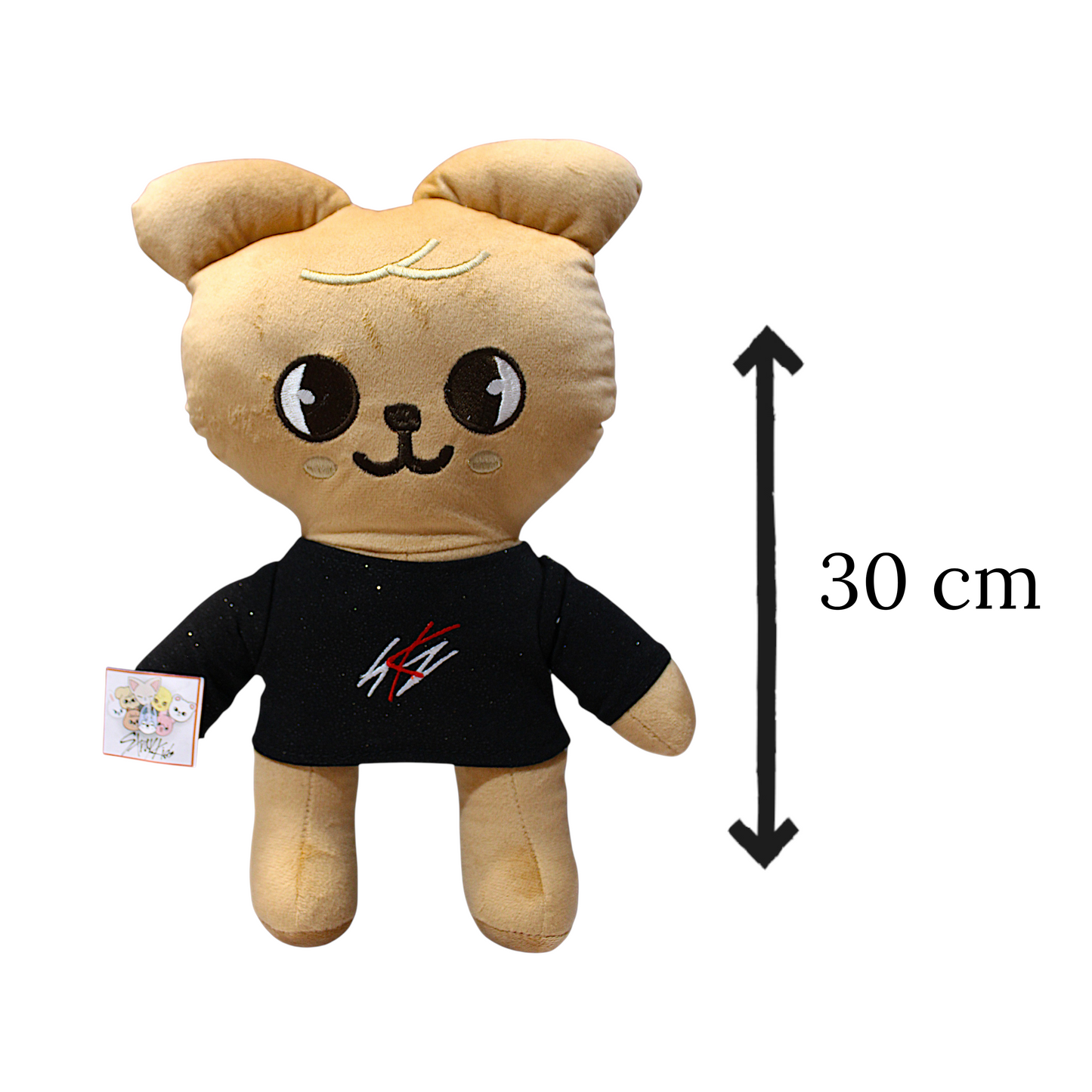 PCH Puppym/ Stray Kids #3