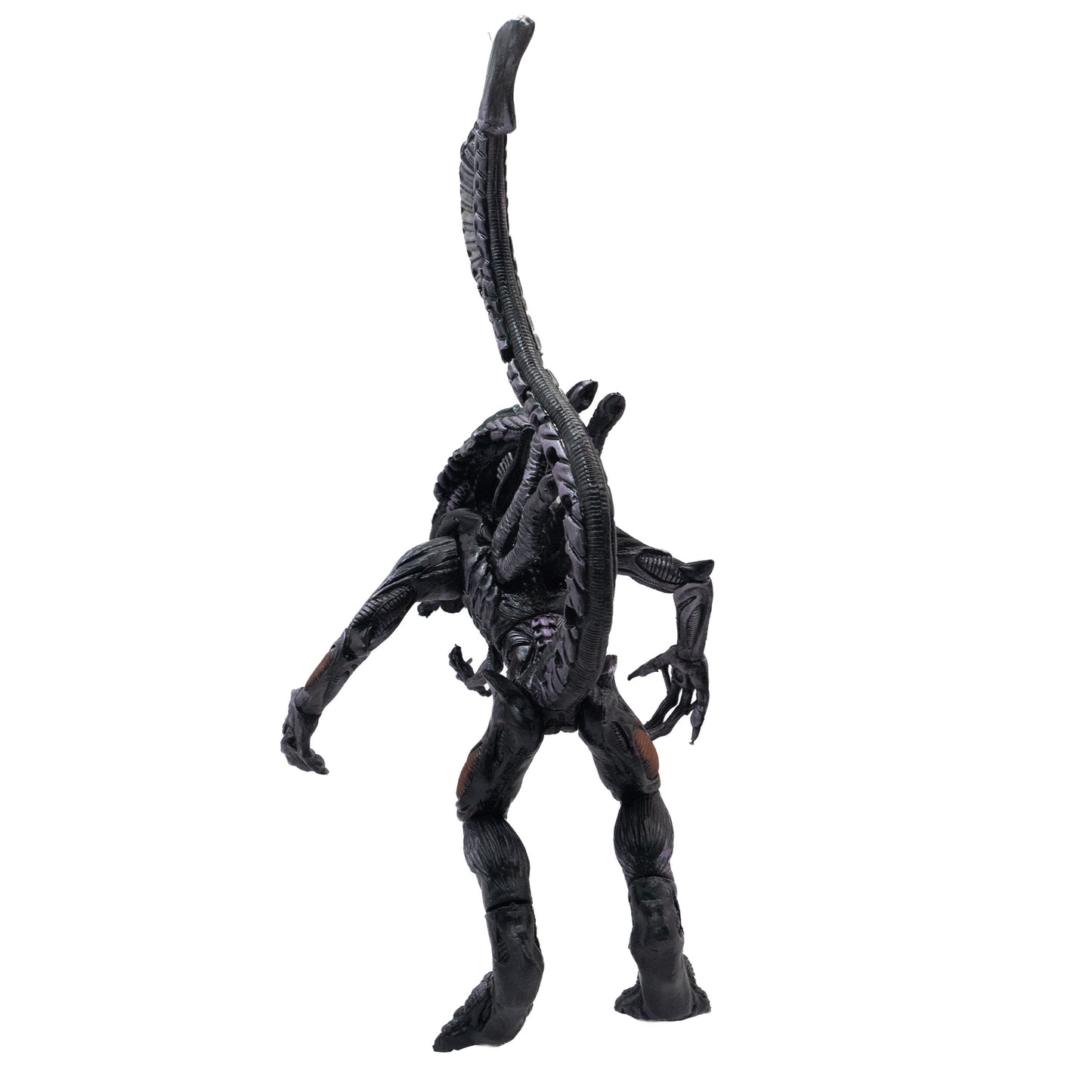 Reina Alien/ Alien vs Depredador