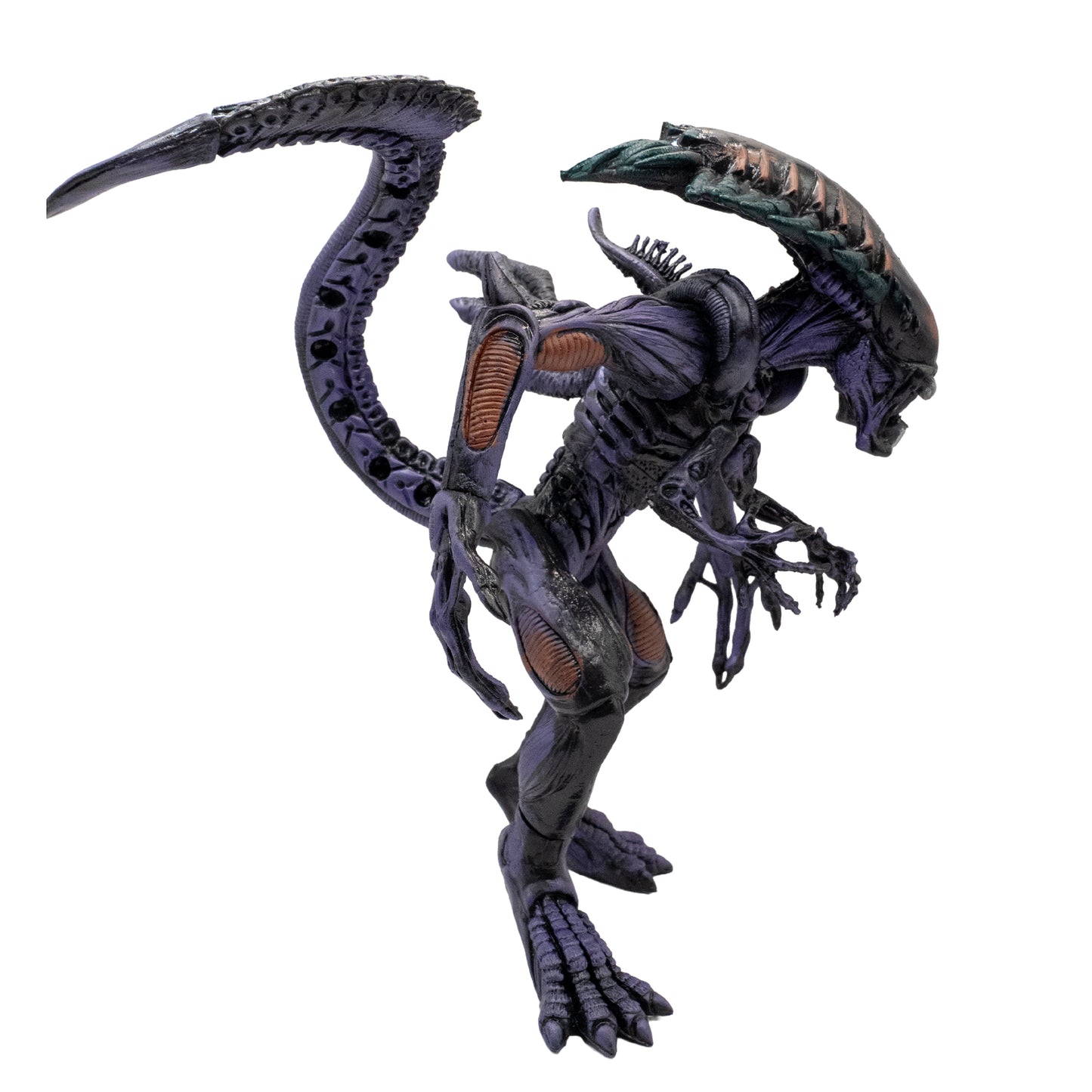Reina Alien/ Alien vs Depredador