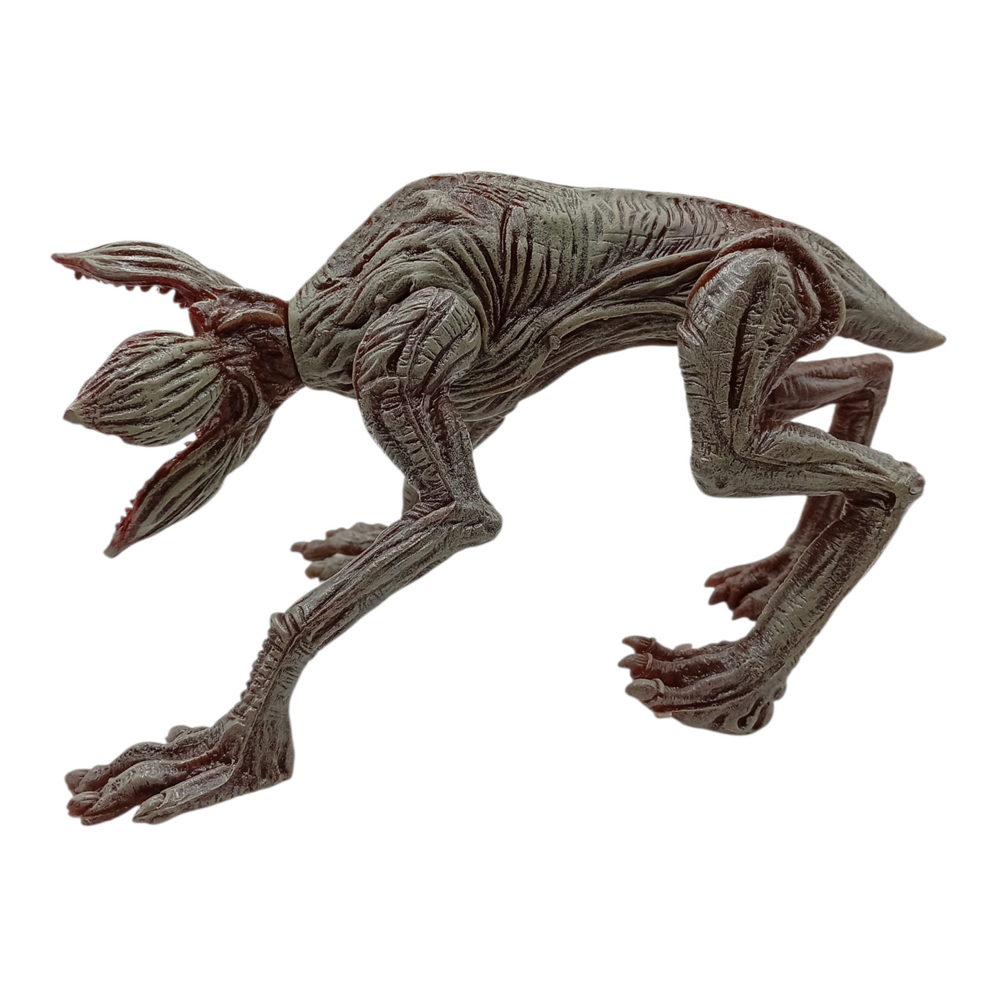 Perro Demogorgon /  Stranger Things