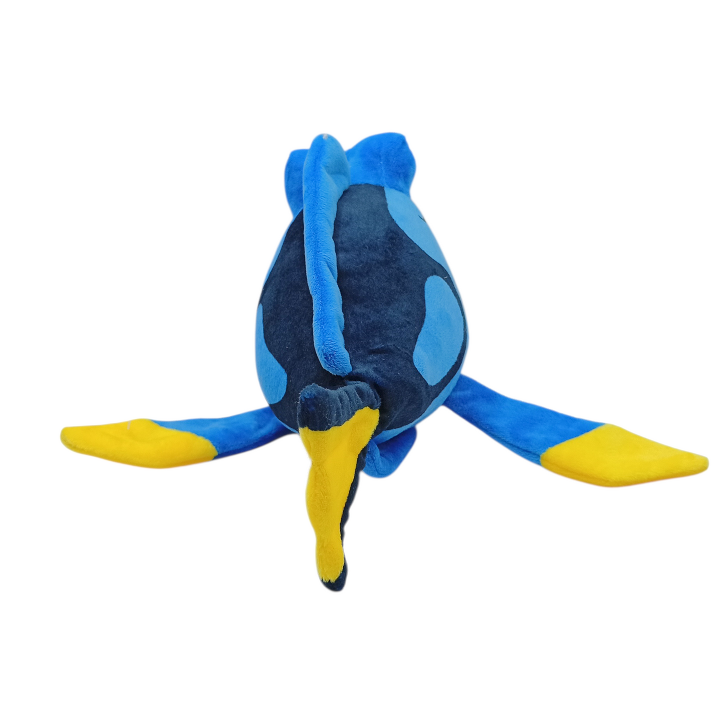 PCH Dory/ Buscando a Nemo #3