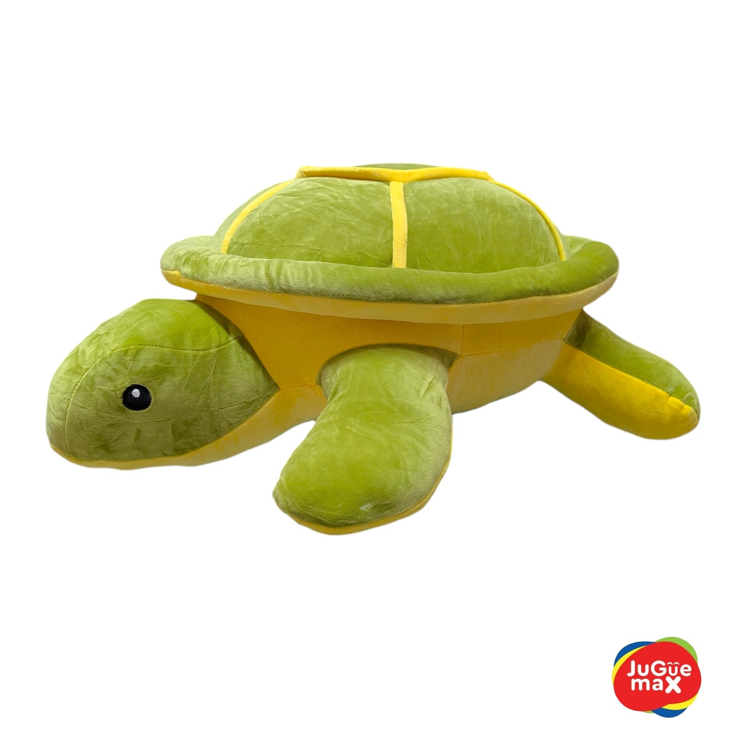 PCH Tortuga #3