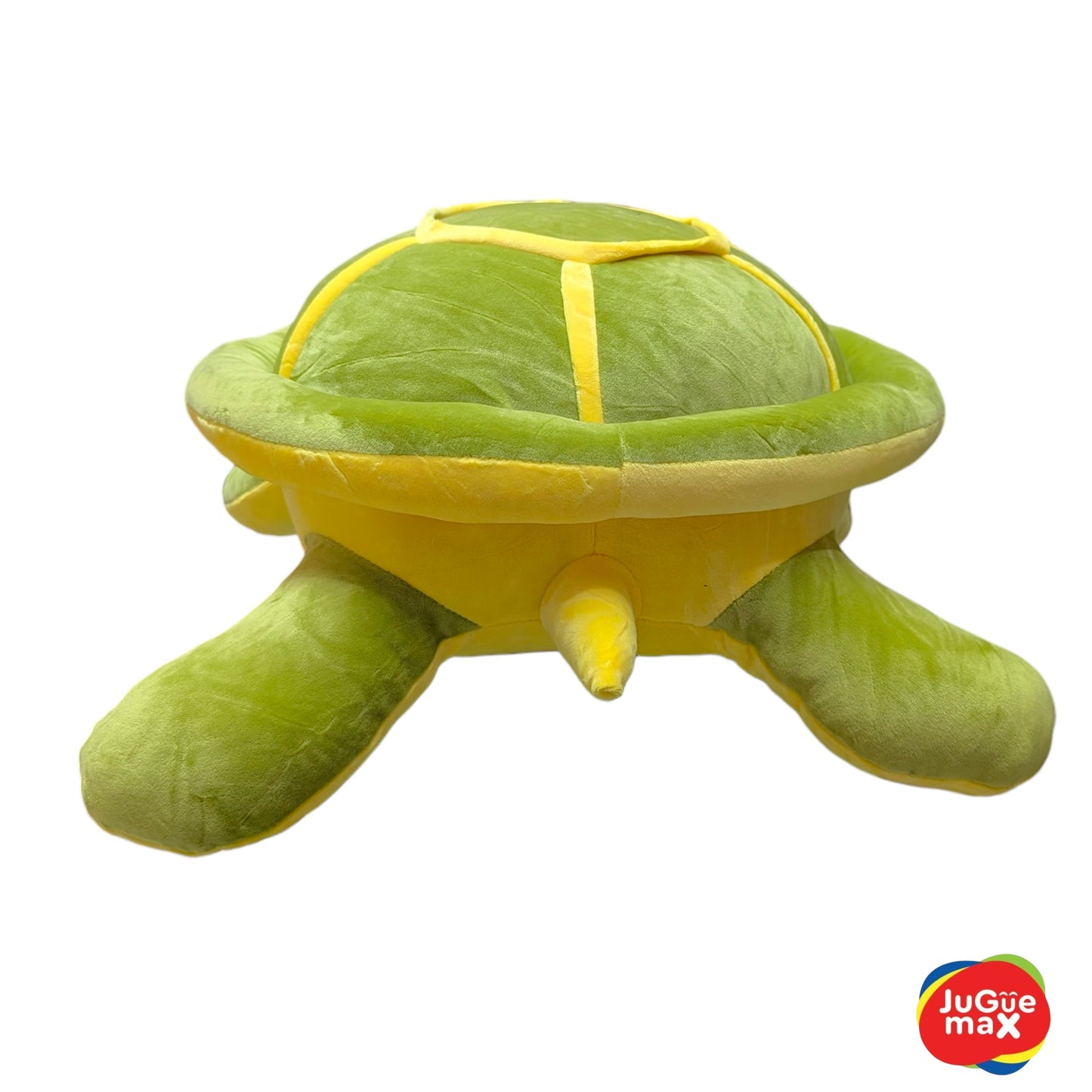 PCH Tortuga #3