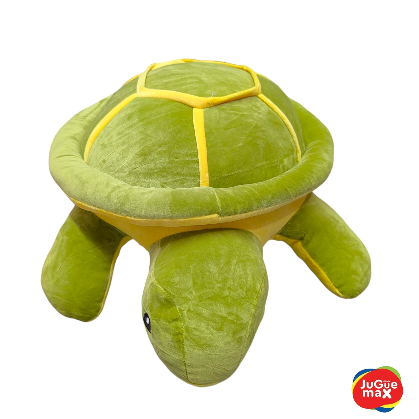 PCH Tortuga #3