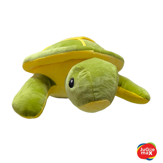 PCH Tortuga #3