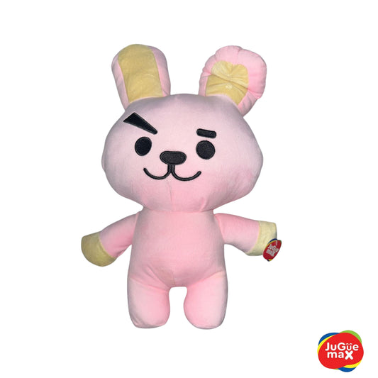 PCH Cooky/ BTS #4