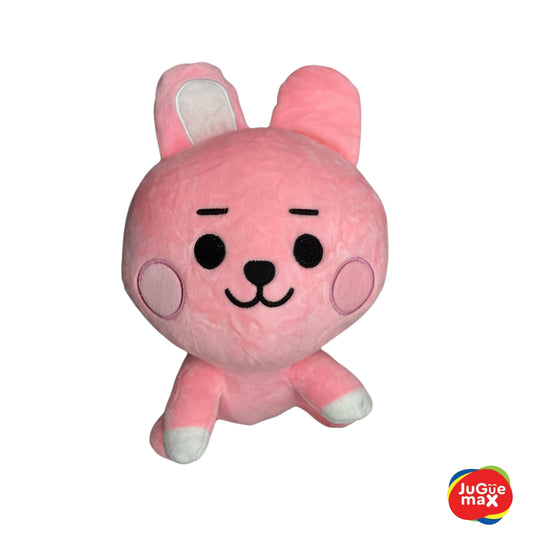 PCH Cooky de BTS #3
