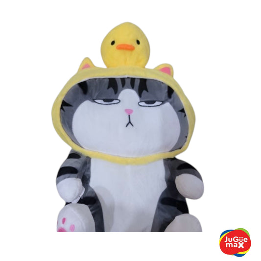 PCH Gato variados/ Gatos #5