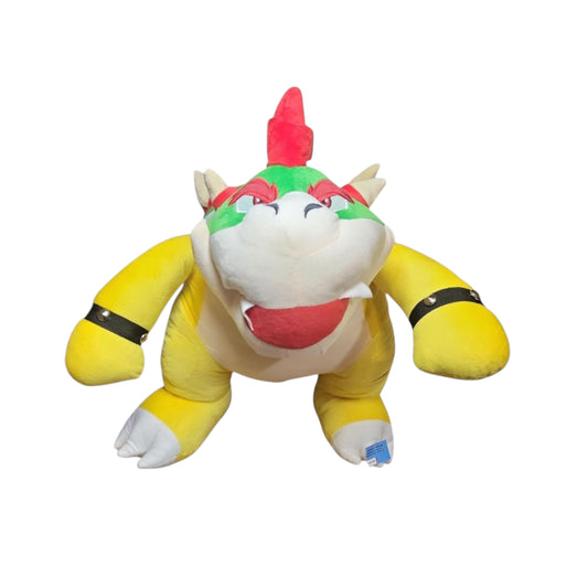PCH Bowser/ Mario Bros #5