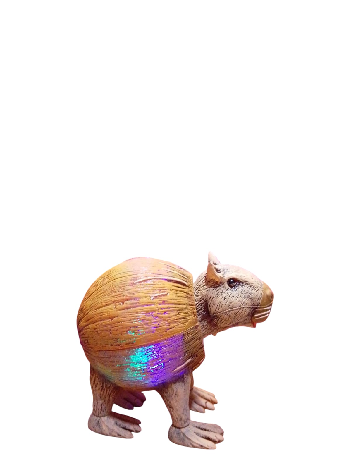 Capibarelo Cocosini/ Brainrot