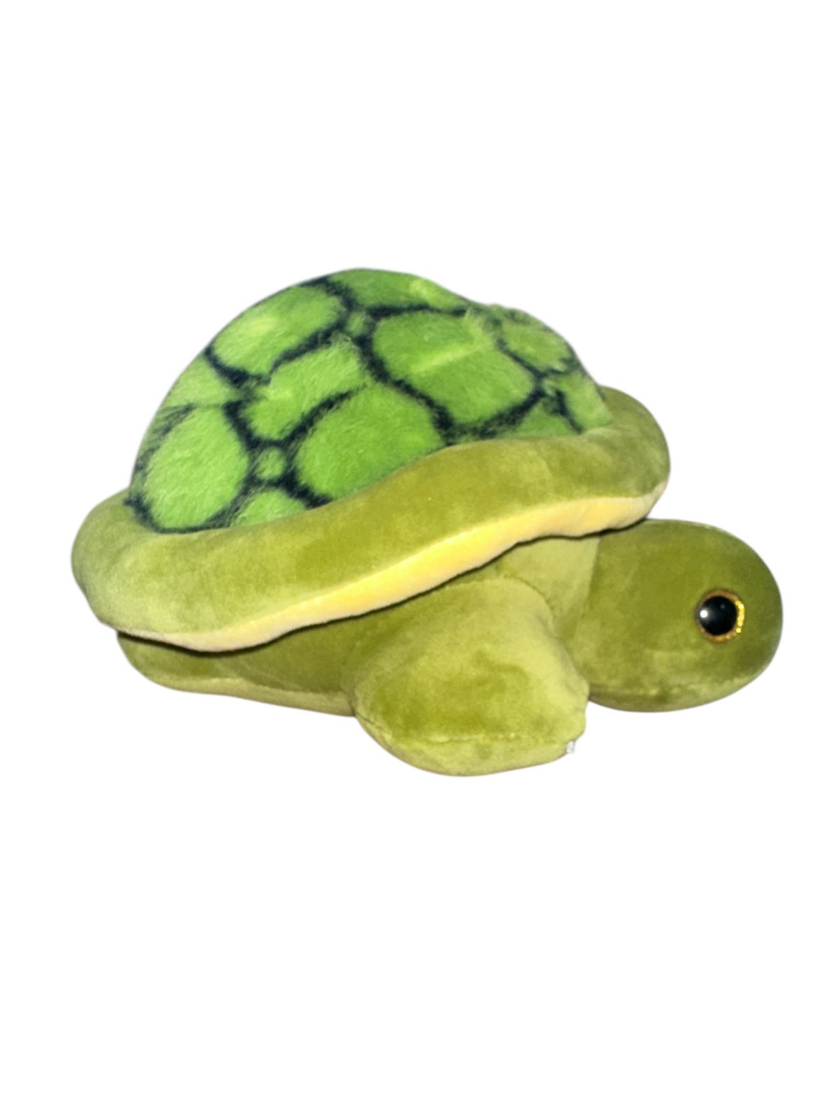 PCH Tortuga #2
