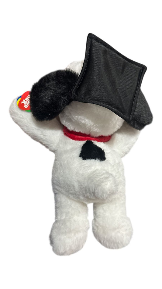 PCH Snoopy echado graduado/ Snoopy #3