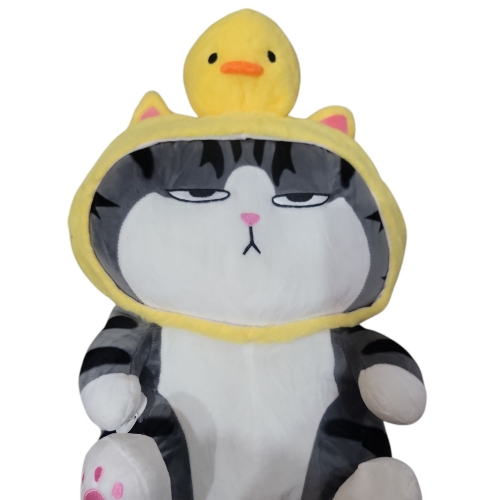 PCH Gato variados/ Gatos #5