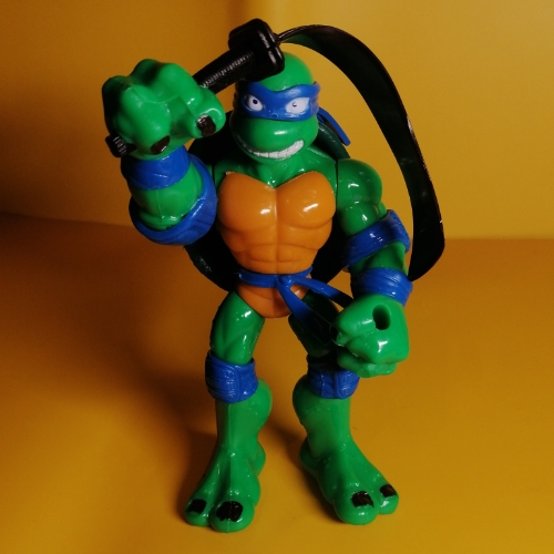 Tortuga azul patona