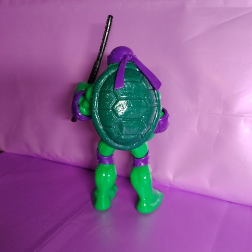 Tortuga patona morada