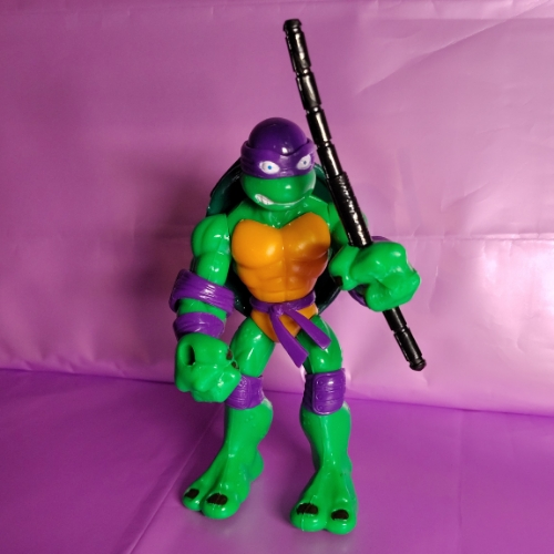 Tortuga patona morada
