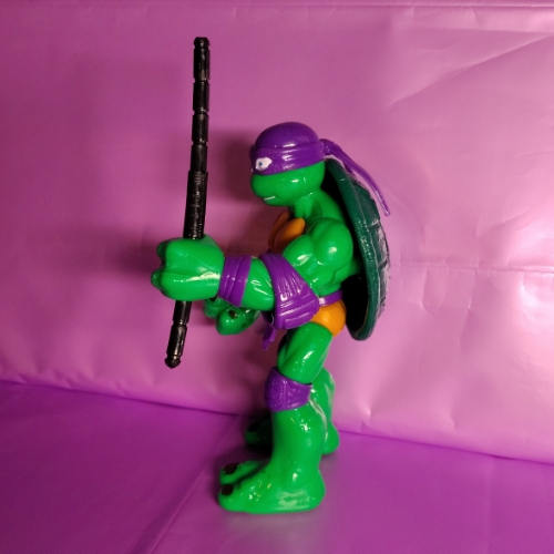 Tortuga patona morada
