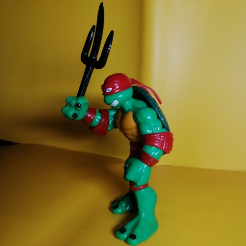 Tortuga patona roja